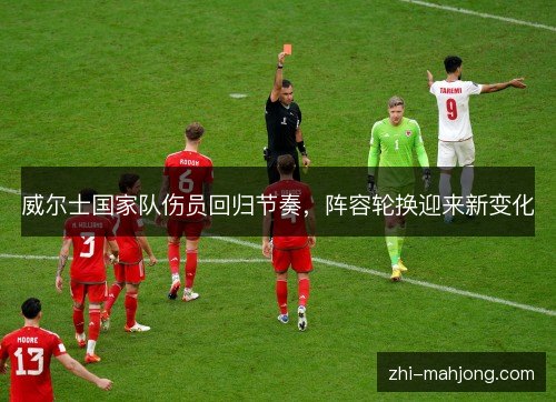 威尔士国家队伤员回归节奏，阵容轮换迎来新变化